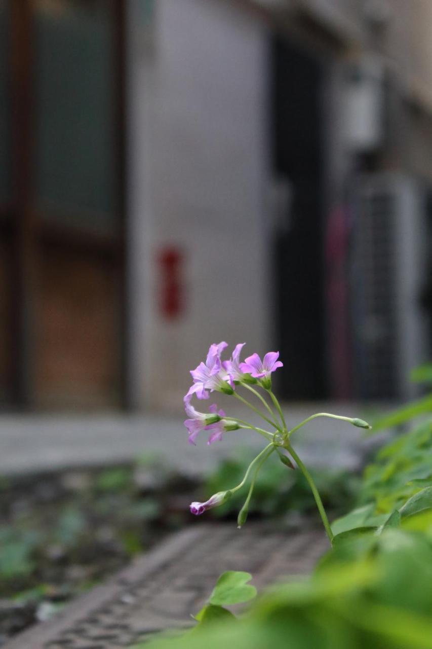 Chiyoda Inn Tokio Exterior foto